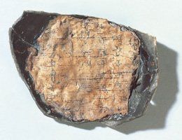 最初に発見された計帳漆紙文書の写真
