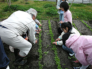 石取り作業