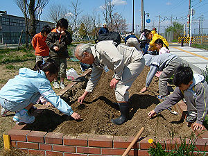 石取り作業