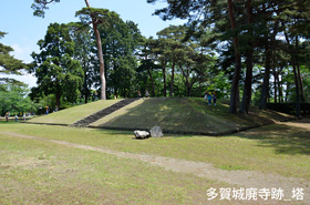 多賀城廃寺跡の塔基壇の写真