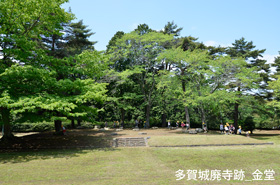 多賀城廃寺跡の金堂の写真