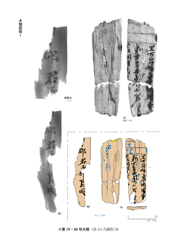 第79号木簡