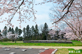 サクラを背景に東楼と正殿を臨んだ写真