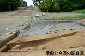 階段と今回の調査区