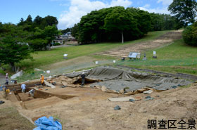 調査区全景