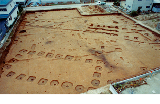 Ⅰ期官衙中枢部の建物写真