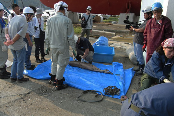 宮城県被災文化財レスキュー活動「救え！故郷の証 －つながれ！MIAGI－」