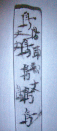 県指定文化財　木簡「鳥　習書木簡」の赤外線写真