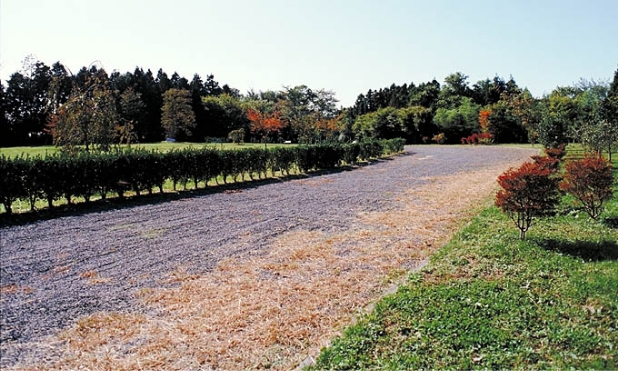 多賀城 六月坂地区道路（東より見る）