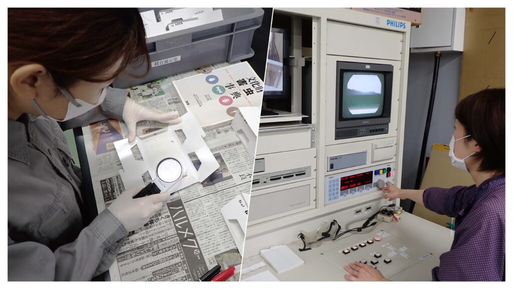 害虫調査の様子／資料構造調査の様子